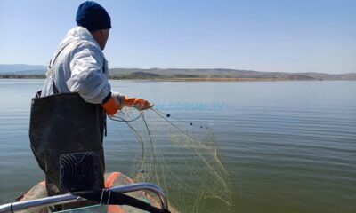 Obruk’ta Yasa Dışı Avcılığa Geçit Yok