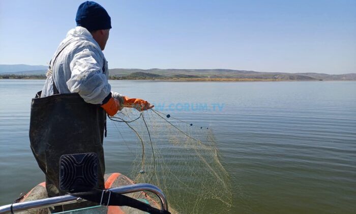 Obruk’ta Yasa Dışı Avcılığa Geçit Yok