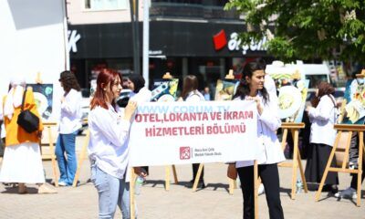 Bilim ve Sanat, Meydanda Buluştu