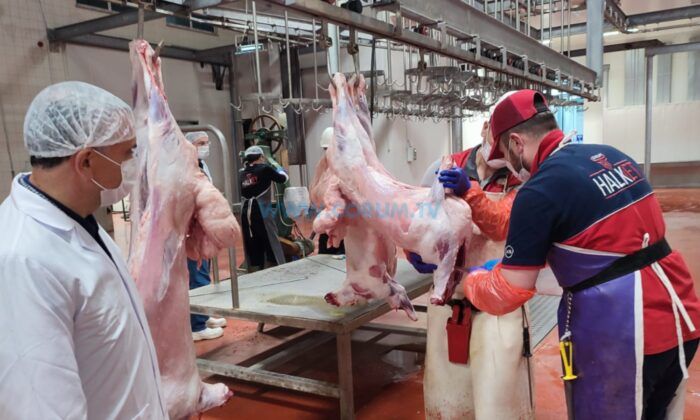 Çorum Belediyesinin Kurban Bağış Kampanyası Başladı