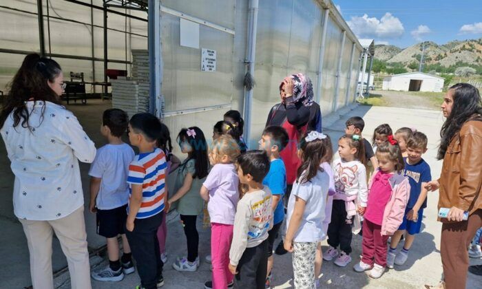 Minikler Tıbbi Aromatik Bitkileri Tanıdı