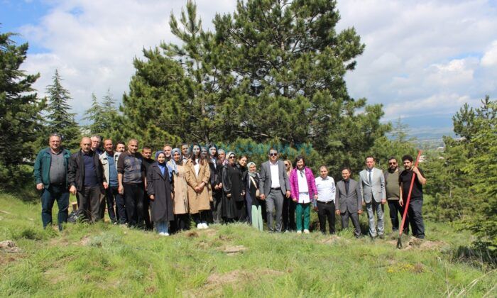 SGK Çalışanları Hatıra Ormanına Fidan Dikti