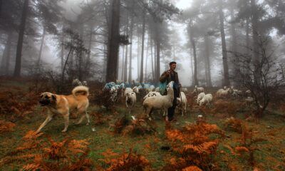 Fotoğraf Yarışması İçin Başvurular Başladı