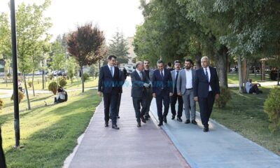 ‘Sahipsiz Sokak Hayvanları Toplanıp Bakımları Yapılıyor’