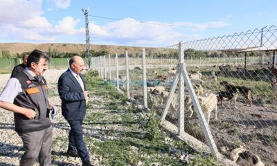 Doğal Yaşam Alanı’nda İnceleme