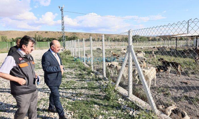 Doğal Yaşam Alanı’nda İnceleme