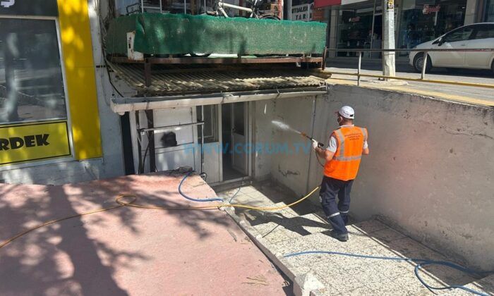 Haşere ve Keneye Karşı Kapsamlı Çalışma