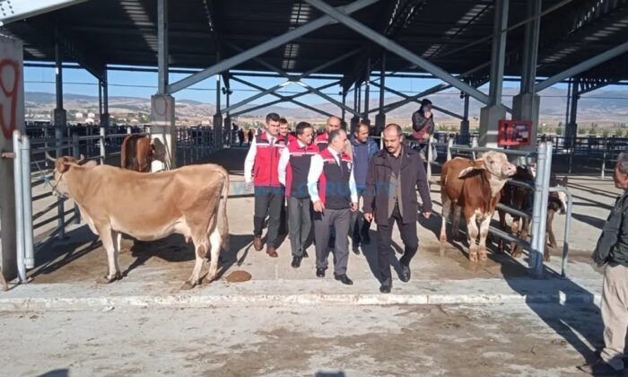 Hayvan Pazarı Kapılarını Açtı