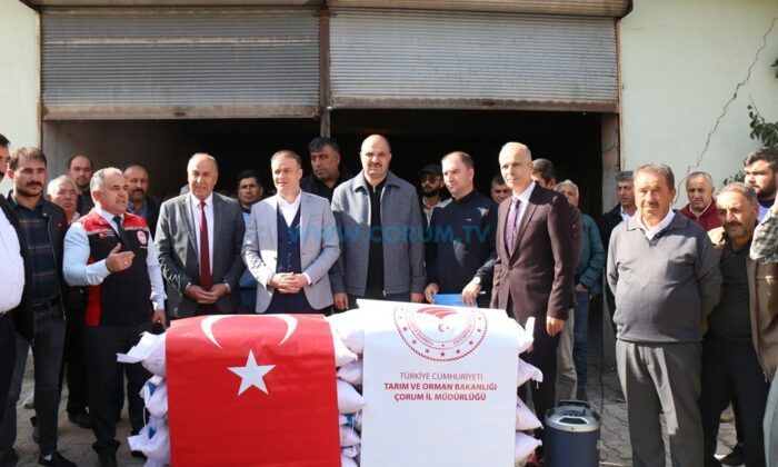 213 Çiftçiye Arpa Tohumu Desteği