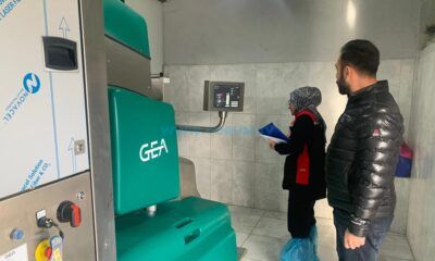 Büyükbaş Hayvancılığa Yüzde 50 Hibe Desteği