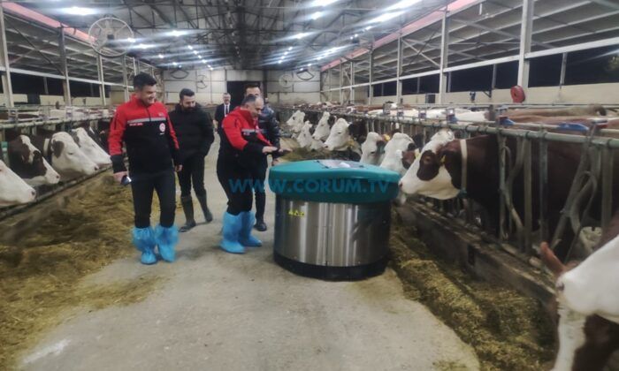 Hayvancılığa ‘Robot’ Eli Değdi