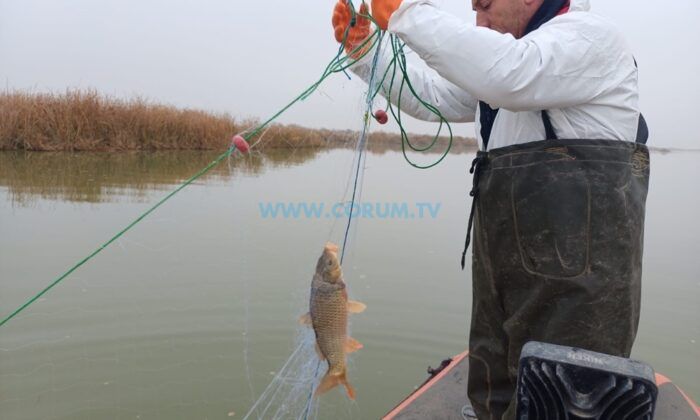 Çorum Sularında Kaçak Avcılığa Geçit Yok