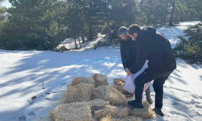 ‘Bir Kap Yem, Bir Lokma Umut’