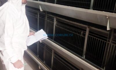 Kanatlı İşletmelerine Sıkı Denetim