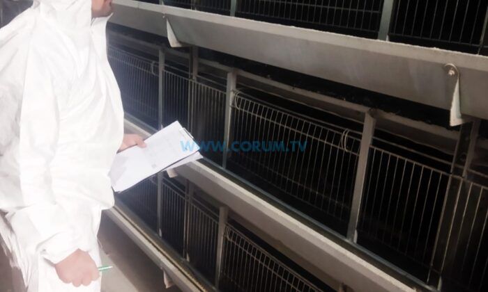 Kanatlı İşletmelerine Sıkı Denetim