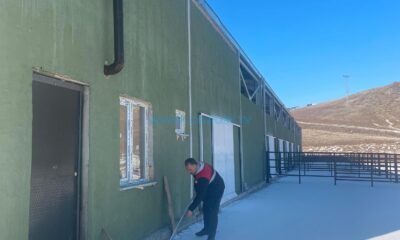 Sürdürülebilir Hayvancılık İçin Sahadalar