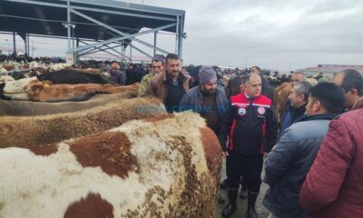 Hayvan Pazarı’nda Üreticinin Talepleri Dinlendi