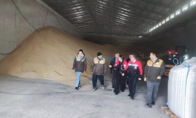 Çeltik Alım Süreçleri Yerinde İncelendi