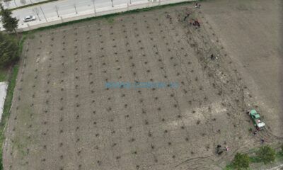 Çorum’da Modern Bağ Tesisi İçin İlk Adım