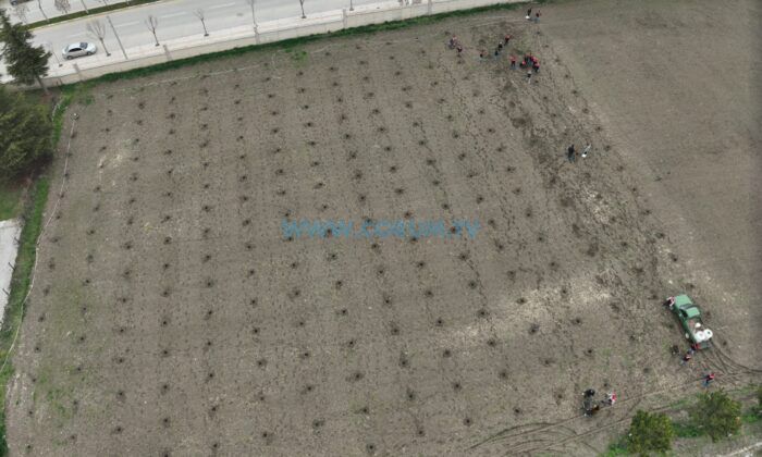 Çorum’da Modern Bağ Tesisi İçin İlk Adım