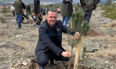 Kargı’da Orman Haftası Fidan Dikimiyle Kutlandı