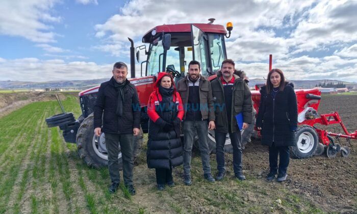 Yerli ve Milli Buğday Çeşidi Çorum’da Toprakla Buluştu