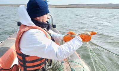 Yüzlerce Metre, Ekipler İzin Vermedi