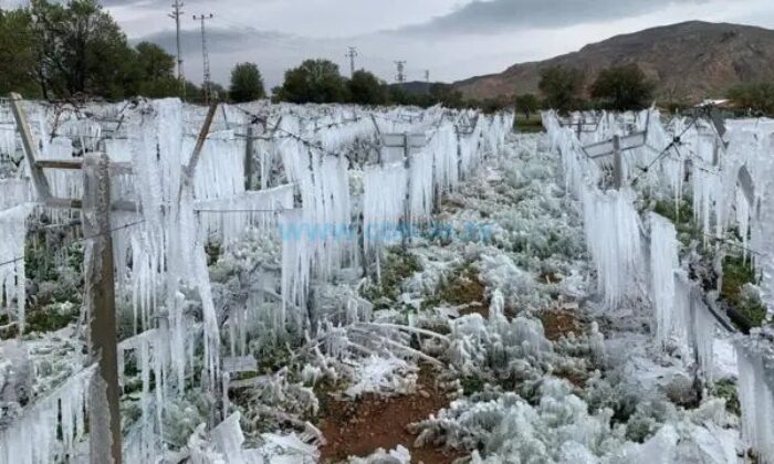 Uyarı Yinelendi, Zirai Don Geliyor