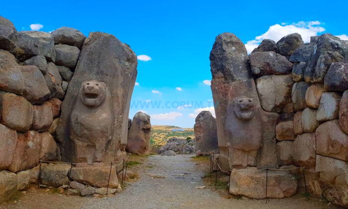 Dünya Hitit Günü Kutlanacak