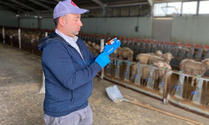 Hayvan Sağlığı İçin Sahada Titiz Çalışma