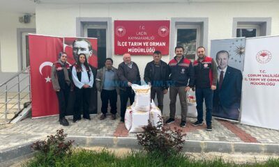 Hibeli Nohut ve Ayçiçeği Tohumu Dağıtıldı