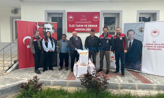 Hibeli Nohut ve Ayçiçeği Tohumu Dağıtıldı