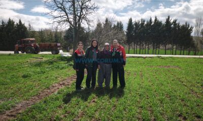 Hububat Tarlalarında Verim Nöbeti Başladı