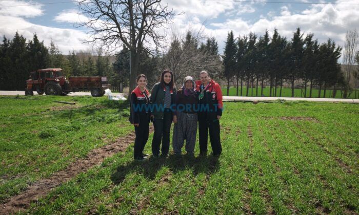 Hububat Tarlalarında Verim Nöbeti Başladı