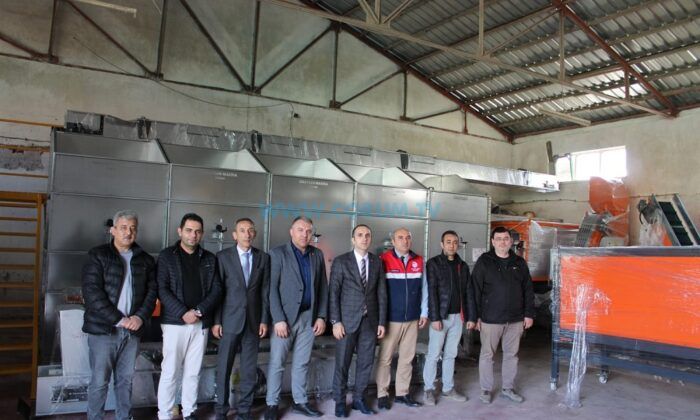 İskilip, Çorum’un Ceviz Deposu Oldu