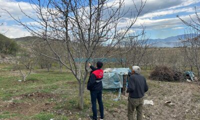 Laçin’de Bahçe Ziyaretleri