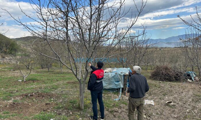 Laçin’de Bahçe Ziyaretleri