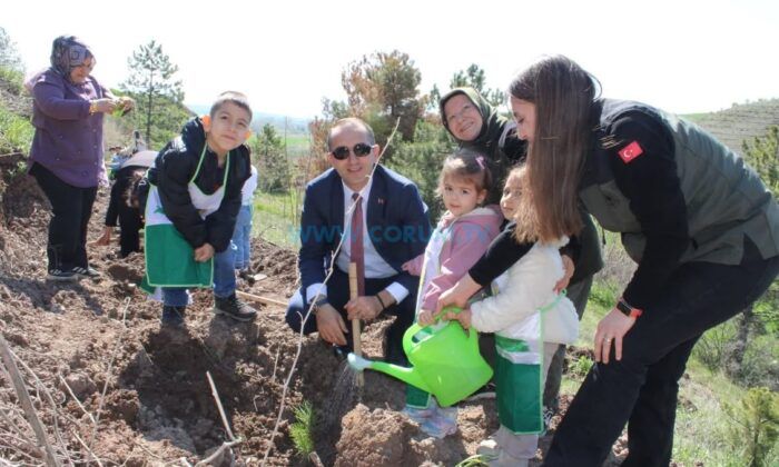 Minik Eller Toprağa Can Verdi