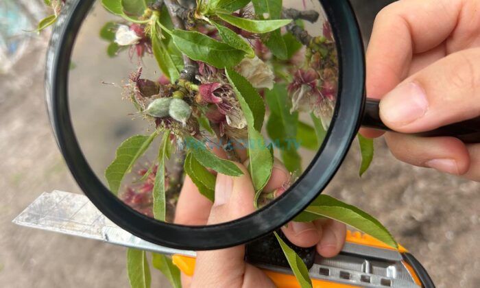 Tarım Arazileri Mercek Altında