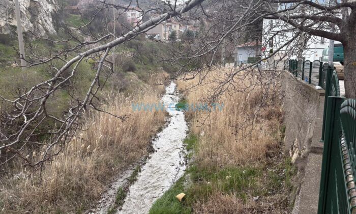 Taşkın Riskine Karşı Akçay Çayı Temizleniyor