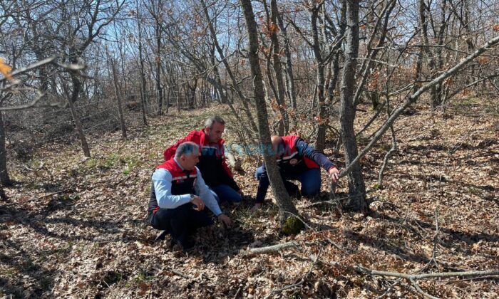 Verim Kaybını Önlemek İçin Saha Mesaisi