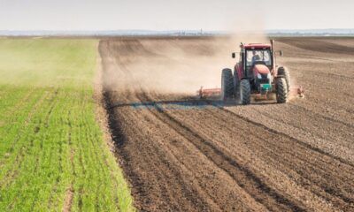 Çiftçiye Bereket Kapısı Açılıyor, Üreticiye Destek Verilecek