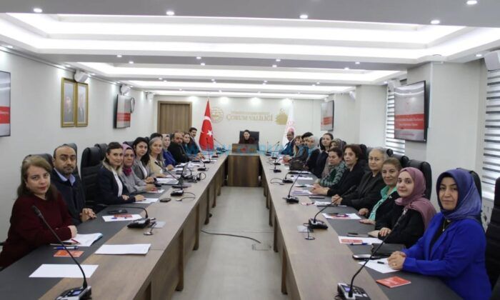 Kadına Yönelik Şiddetle Mücadele İçin 5 Yıllık Eylem Planı