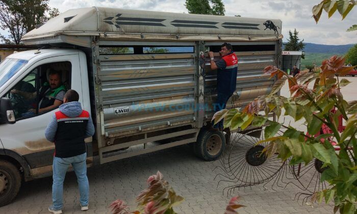 Kurbanlık Sevkiyatlarına Sıkı Denetim
