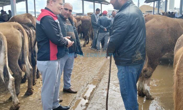 Sungurlu’da Güvenli Kurban Alışverişi İçin Denetimler