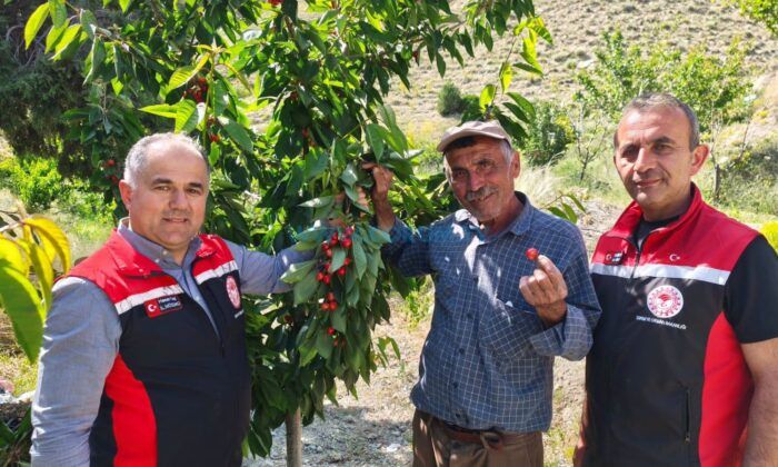 Bağcılara Yerinde Teknik Danışmanlık