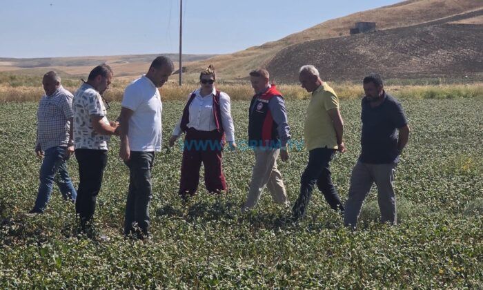 Çiftçinin Yeni Gelir Kapısında Verim Mesaisi
