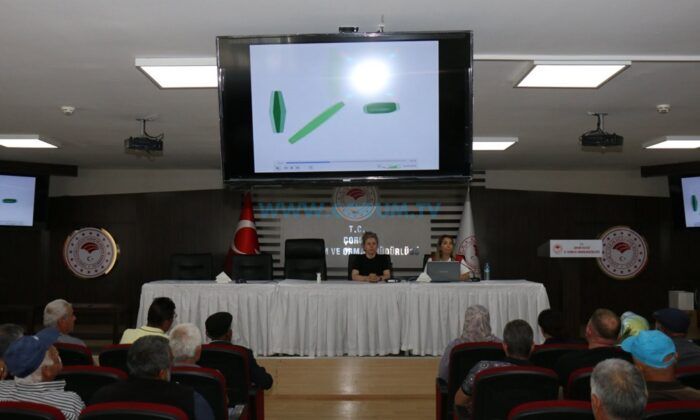 Çiftçiye Sahada Kene, Anız ve Reçete Uyarısı
