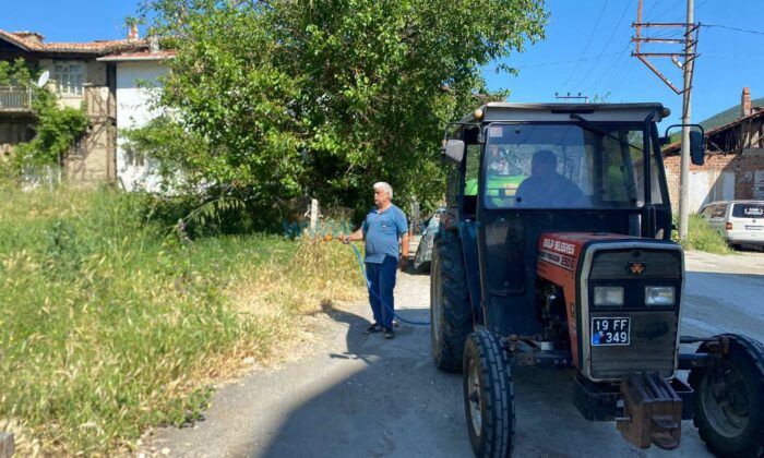 İskilip’te Yabani Ot Mesaisi