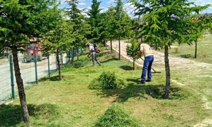 Sungurlu Belediyesi Daha Temiz Bir Kent İçin Sahaya İndi